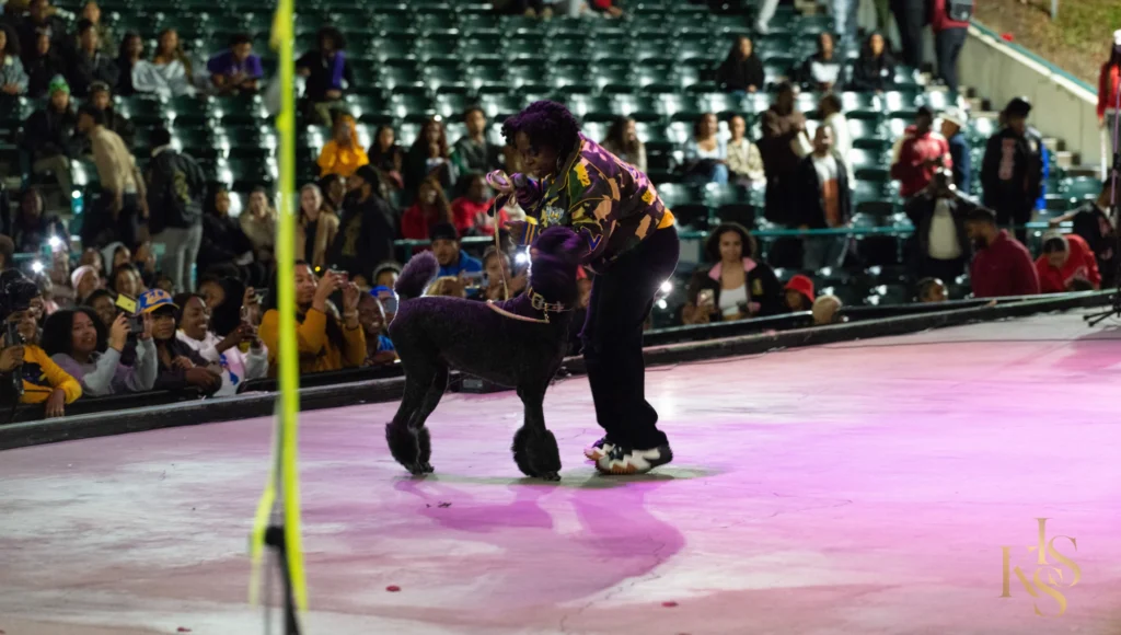 Photo 53 of 64 — SDSU Homecoming Yardshow 2022